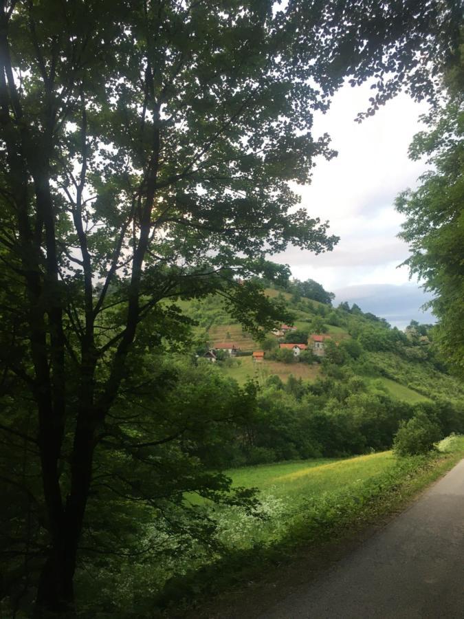 Nicehead Spacious Nest Between Maribor And Celje Loce pri Poljcanah Bagian luar foto