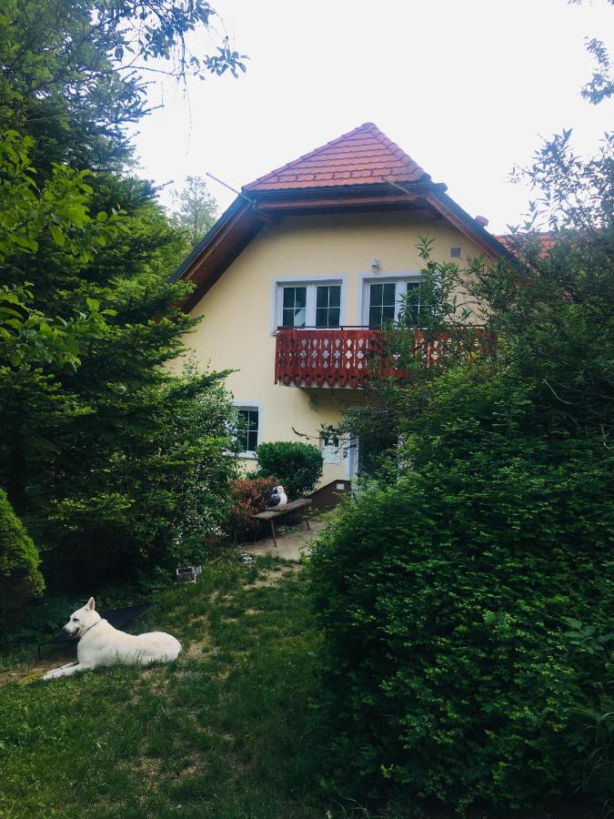Nicehead Spacious Nest Between Maribor And Celje Loce pri Poljcanah Bagian luar foto