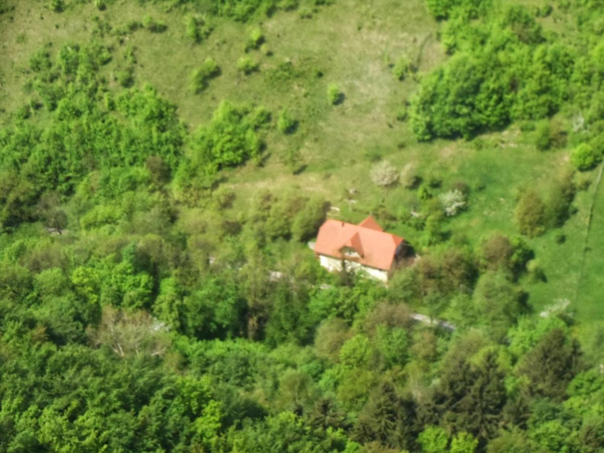 Nicehead Spacious Nest Between Maribor And Celje Apartment Loce pri Poljcanah Bagian luar foto