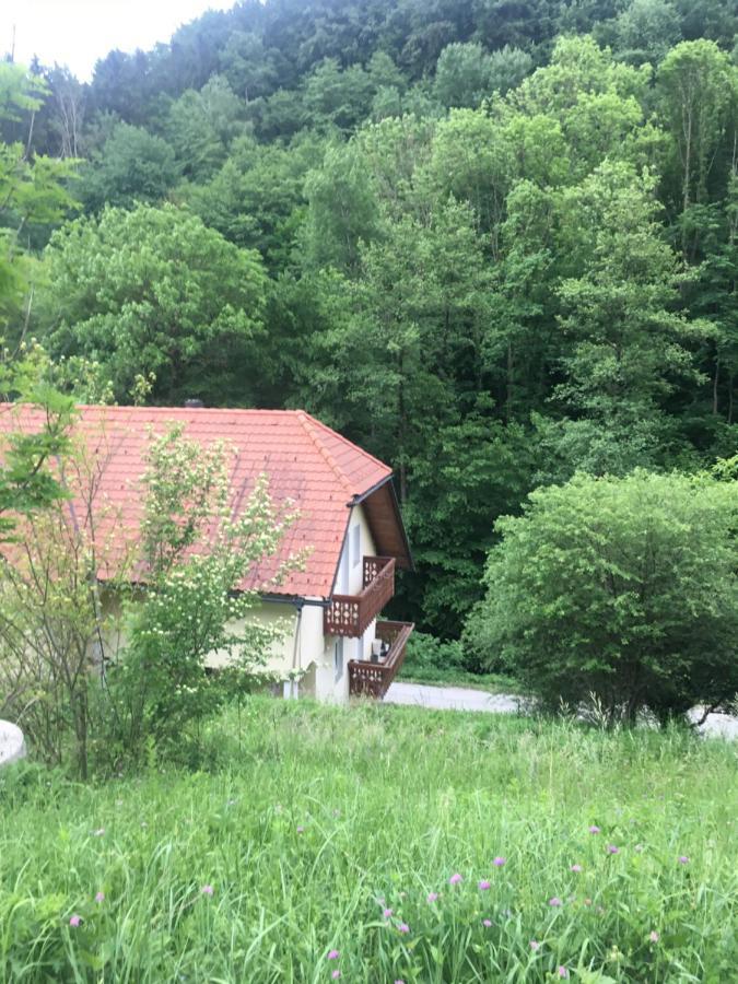 Nicehead Spacious Nest Between Maribor And Celje Apartment Loce pri Poljcanah Bagian luar foto