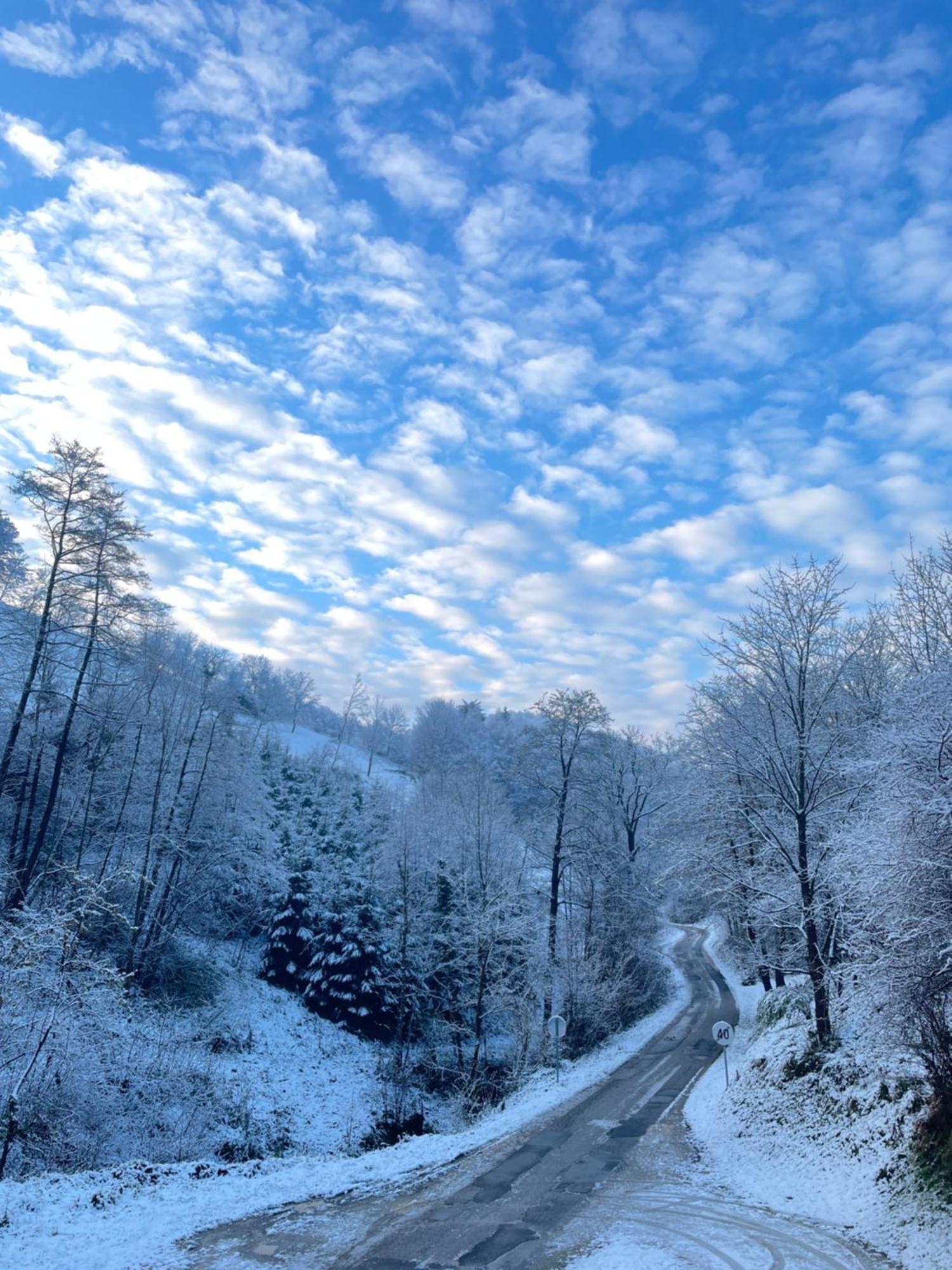 Nicehead Spacious Nest Between Maribor And Celje Loce pri Poljcanah Bagian luar foto